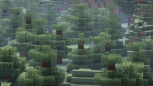 预览图 2