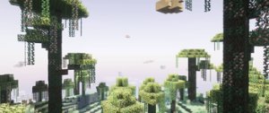 预览图 9
