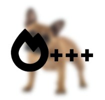 预览图 5