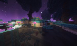 预览图 12