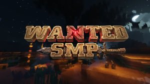 预览图 3