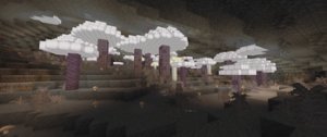预览图 11