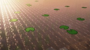 预览图 1