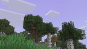 预览图 7