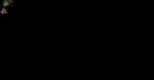 预览图 2