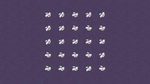 预览图 4