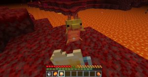 预览图 1