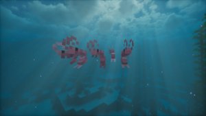 预览图 5