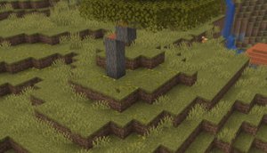 预览图 3